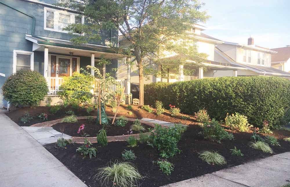 Landscaping in 2020